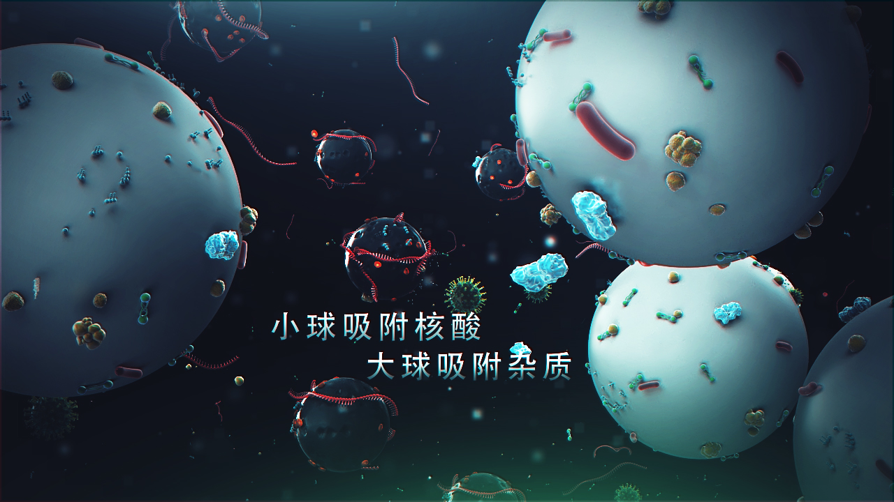 邁維動(dòng)漫簽約上海速創(chuàng  )診斷產(chǎn)品有限公司冠狀病毒檢測醫學(xué)醫療三維動(dòng)畫(huà)制作(圖3)