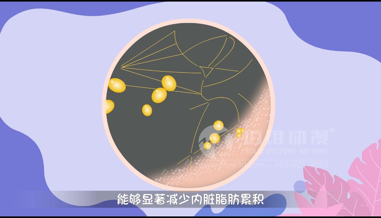 MG動(dòng)畫(huà)，邁維動(dòng)漫.jpg