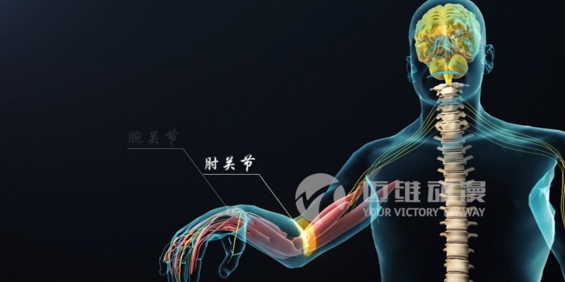 醫學(xué)三維動(dòng)畫(huà)制作效果展示-上海三維動(dòng)畫(huà)制作(圖4) 醫學(xué)三維動(dòng)畫(huà)制作效果展示-上海三維動(dòng)畫(huà)制作(圖4)