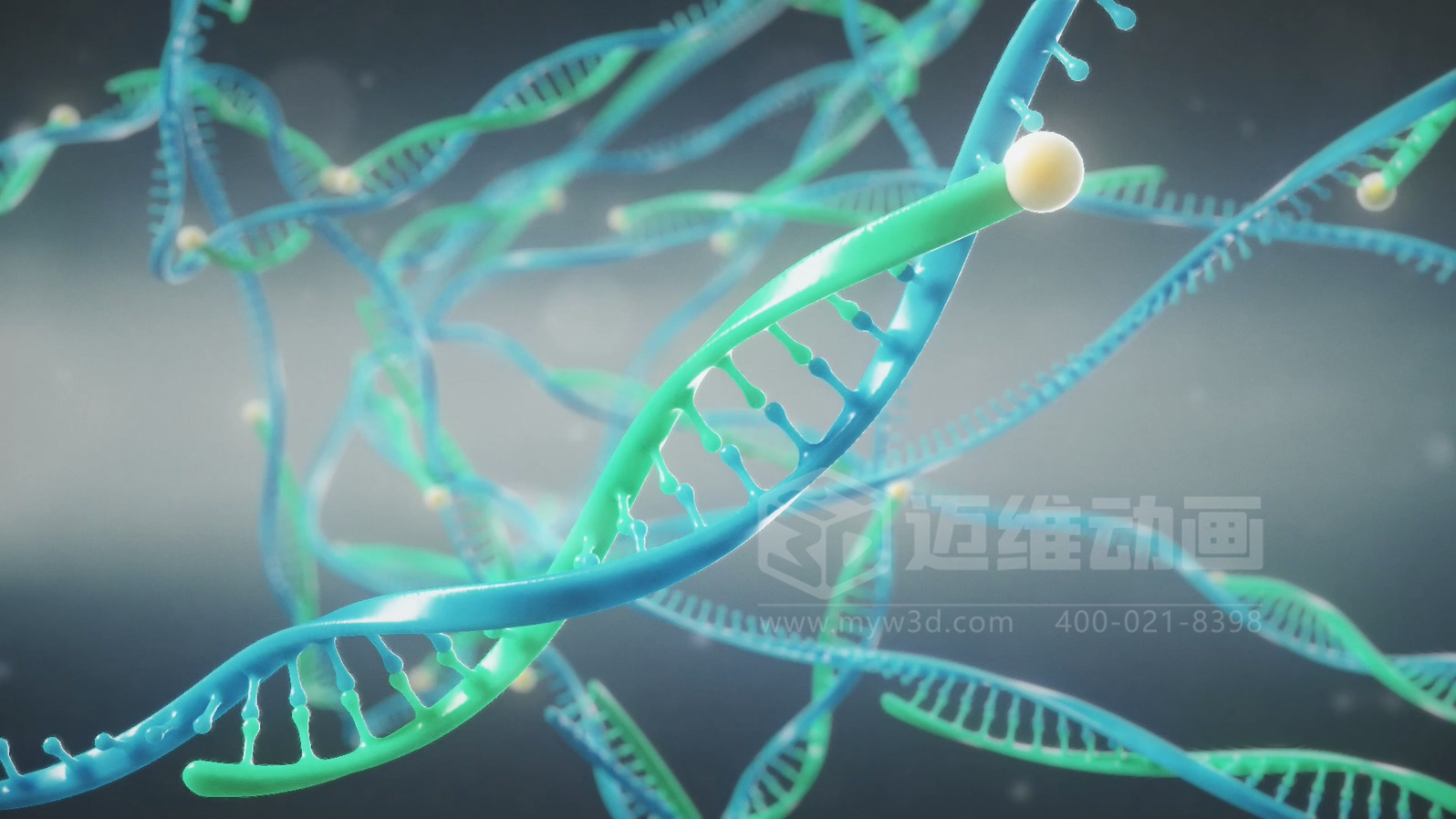 醫療分子生物學(xué)三維動(dòng)畫(huà)(圖2)